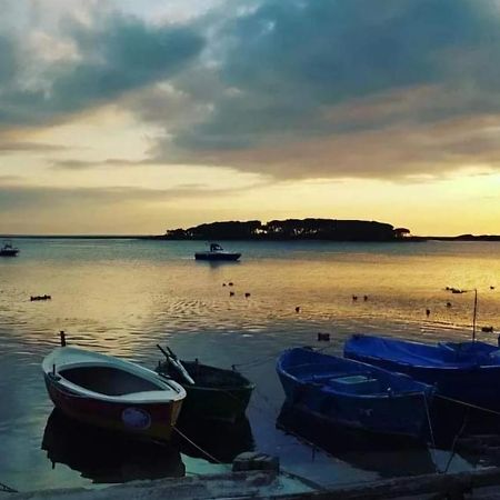 B&B Fior Di Mare Порто-Чезарео Екстер'єр фото